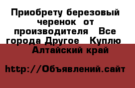 Приобрету березовый черенок  от производителя - Все города Другое » Куплю   . Алтайский край